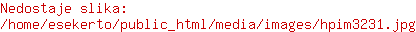 HPIM3231